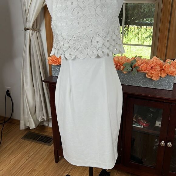 Calvin Klein Sleeveless Circle Lace Popover Sheath - Picture 3 of 13